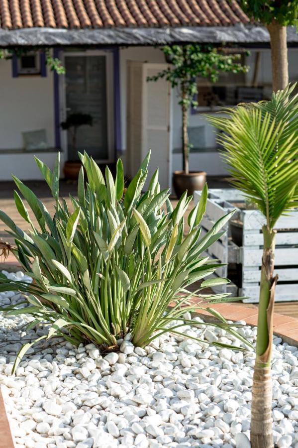 Finca De L'Angles. Levante Potries ภายนอก รูปภาพ